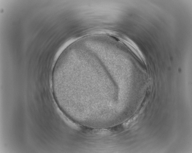 X0000074290811200609151915