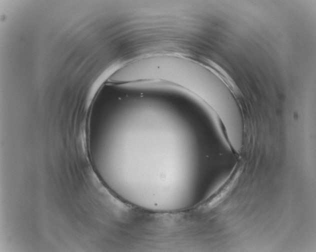 X0000074290812200609151915