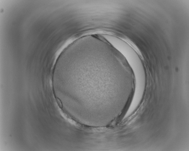 X0000074290813200609151915