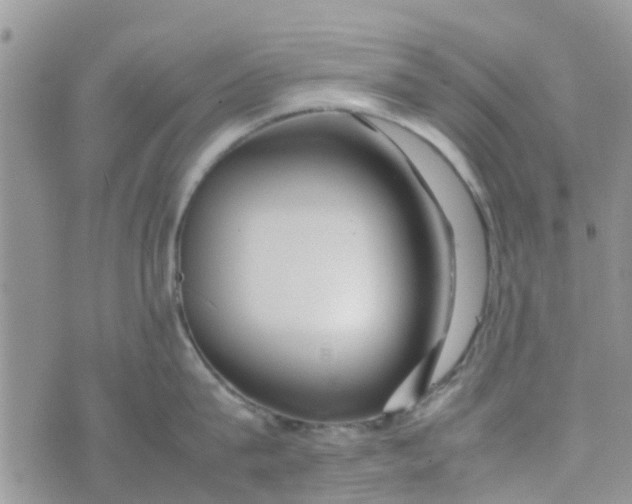 X0000074290815200609151915