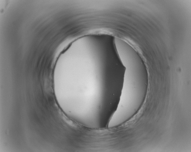 X0000074290816200609151915