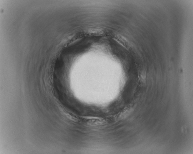 X0000074290817200609151914