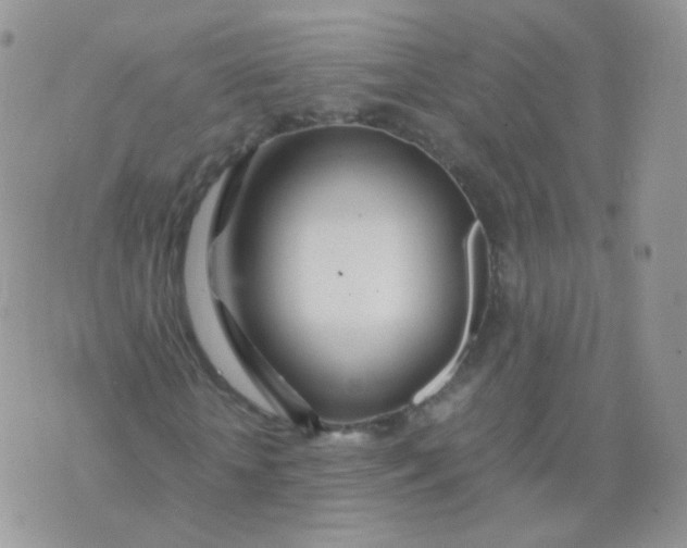 X0000074290818200609151914