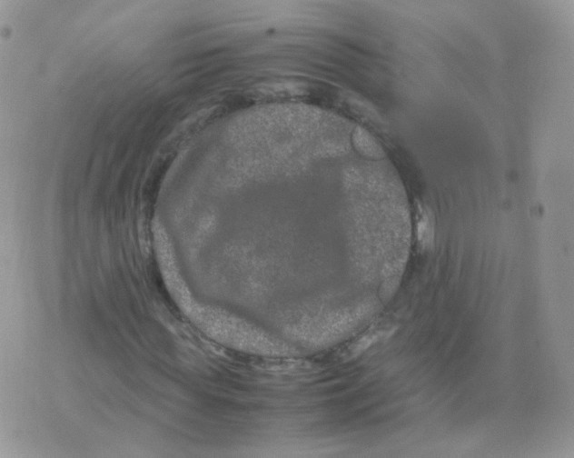 X0000074290819200609151914