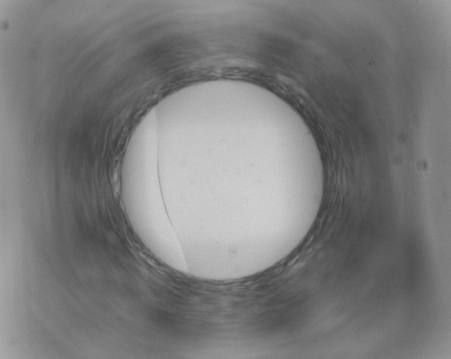 X0000074290820200609151914