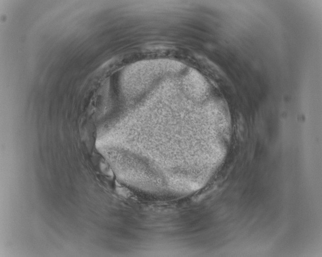 X0000074290821200609151914