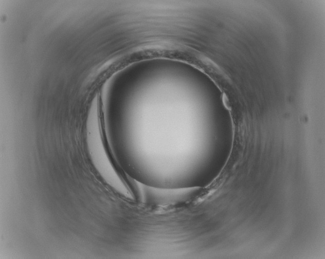 X0000074290822200609151914