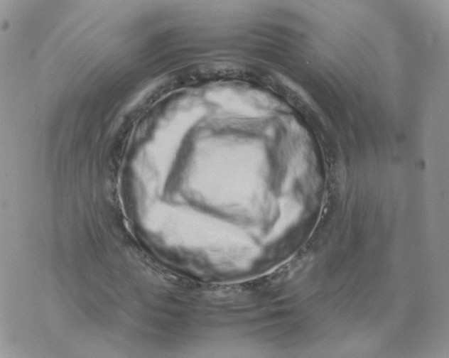 X0000074290823200609151914