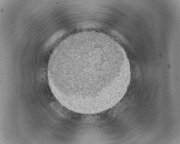 X0000074290824200609151914