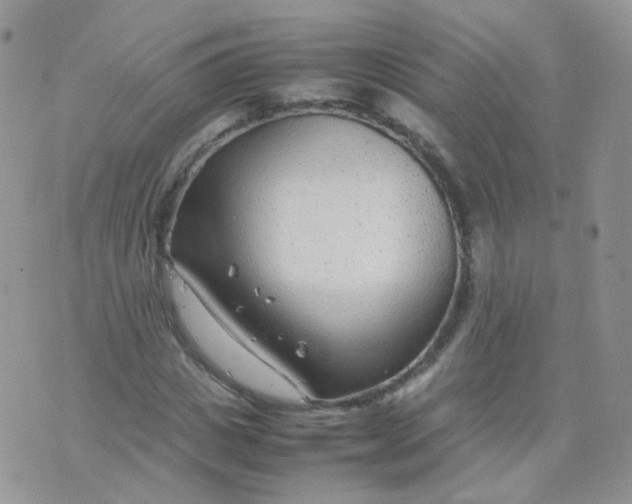 X0000074290825200609151915