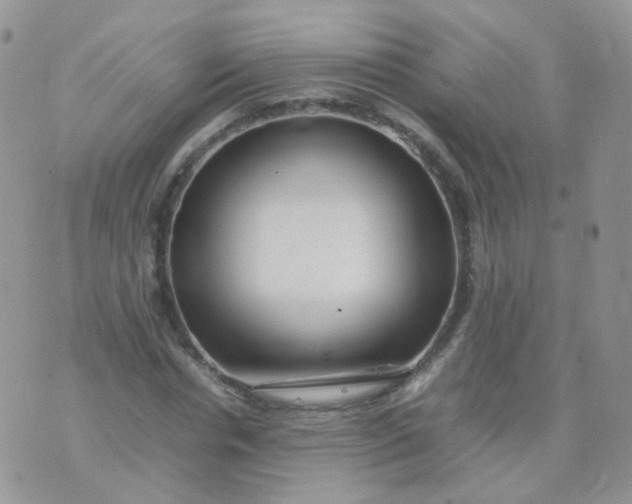 X0000074290826200609151915