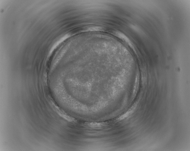 X0000074290827200609151915