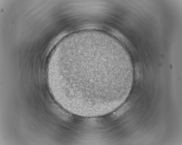 X0000074290828200609151915