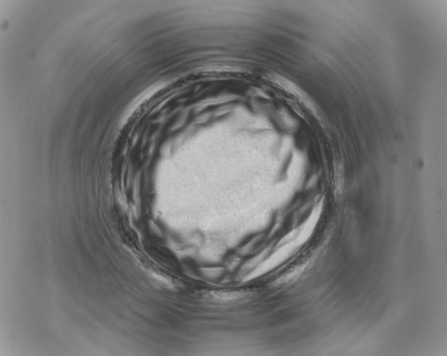 X0000074290829200609151915