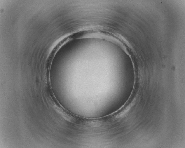 X0000074290830200609151915