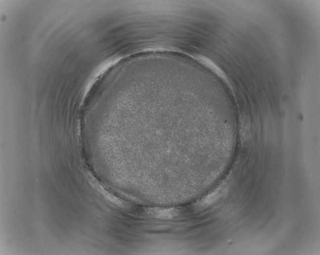 X0000074290831200609151915