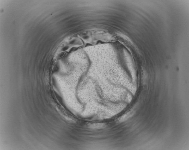 X0000074290833200609151915