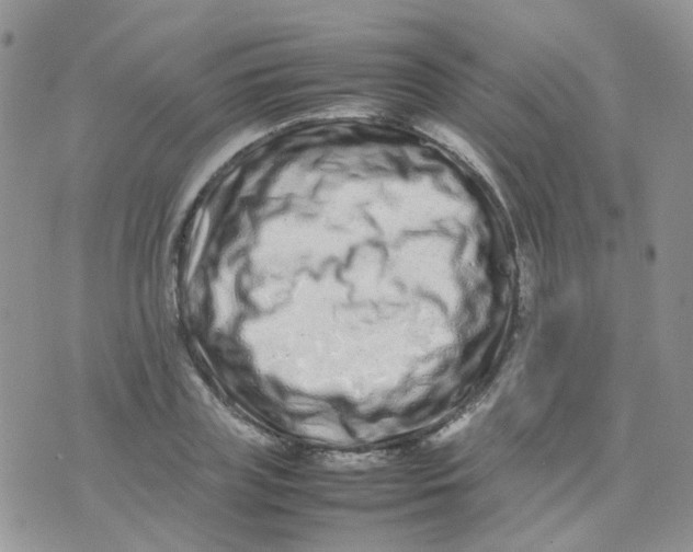 X0000074290835200609151915