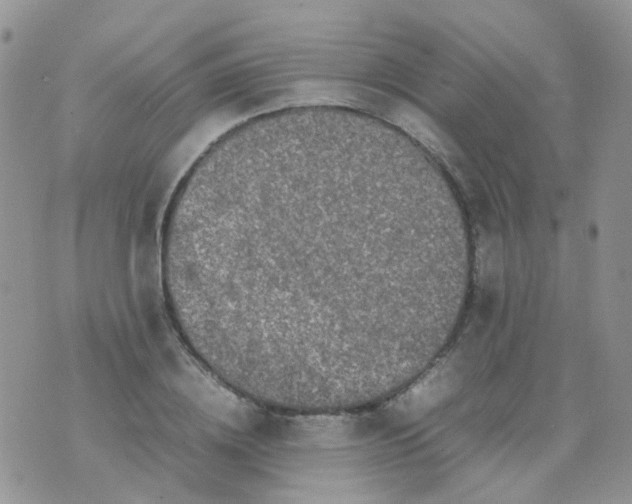 X0000074290836200609151915