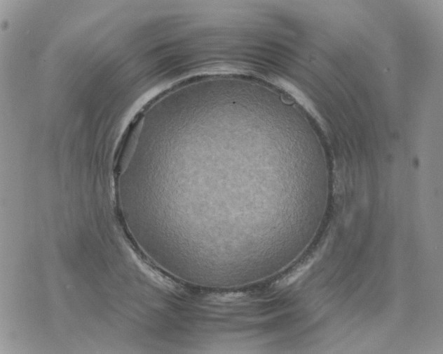 X0000074290837200609151915