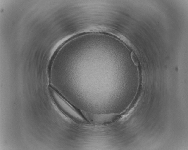 X0000074290838200609151915