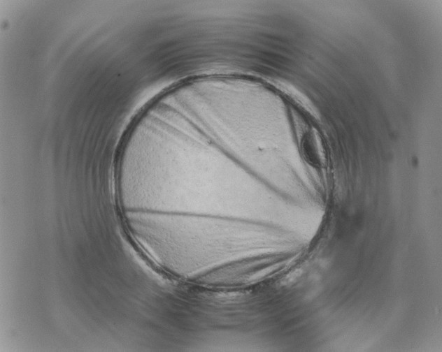 X0000074290839200609151915