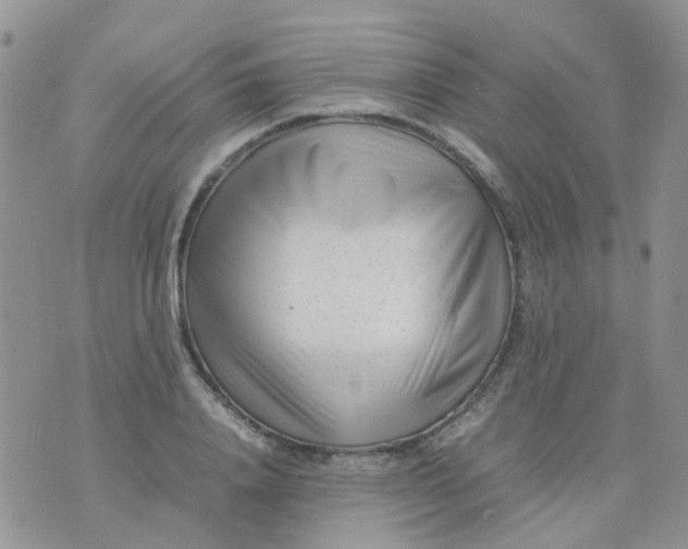 X0000074290840200609151915