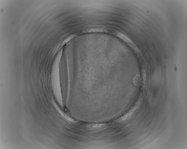 X0000074290841200609151915