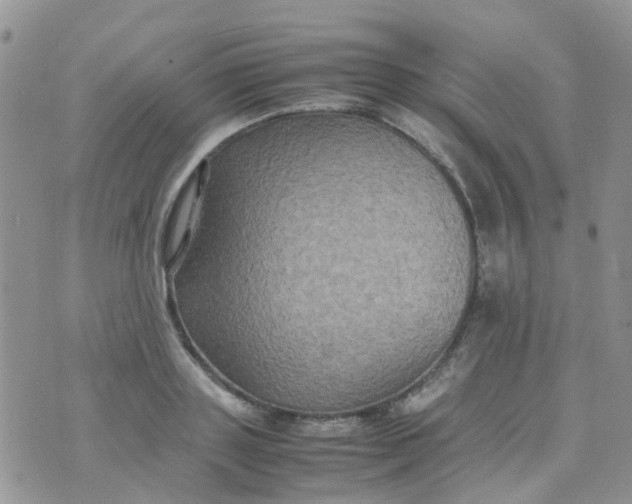 X0000074290843200609151915