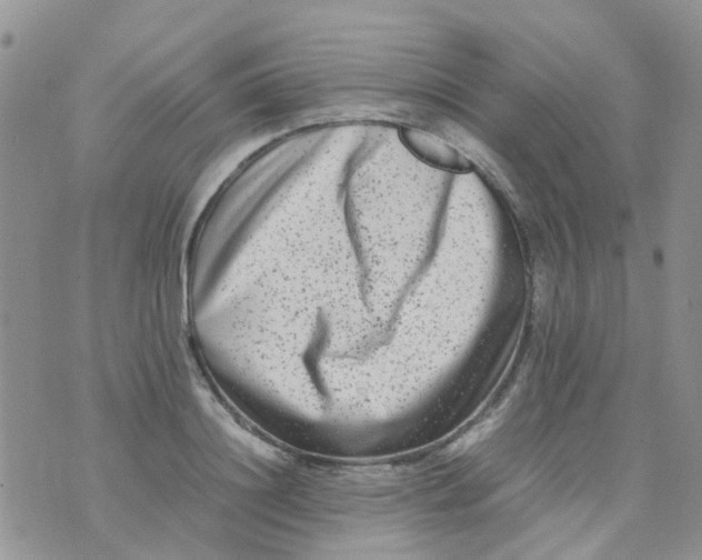 X0000074290844200609151915