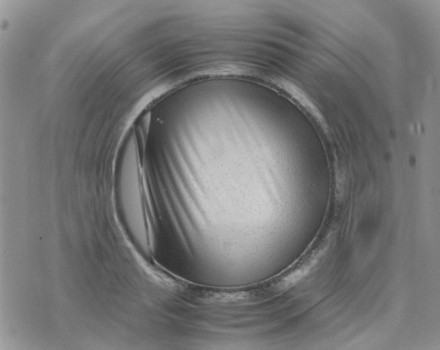 X0000074290845200609151915