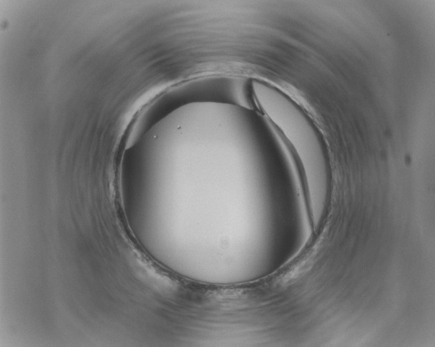 X0000074290846200609151915