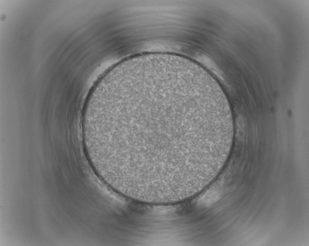 X0000074290848200609151915