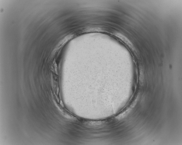 X0000074290849200609151915