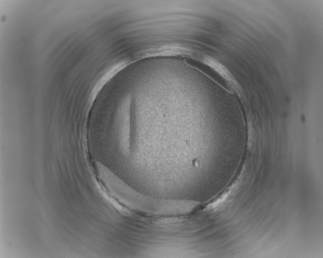 X0000074290850200609151915