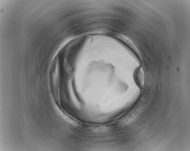 X0000074290851200609151915