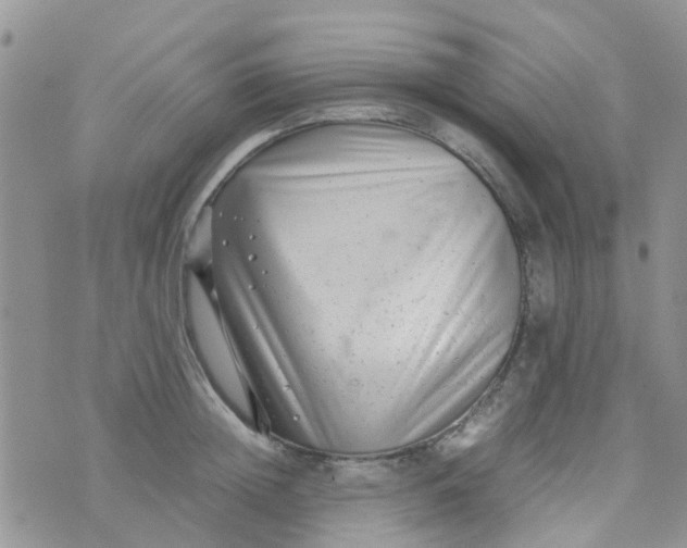 X0000074290852200609151915