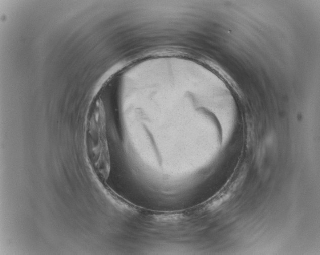 X0000074290853200609151915