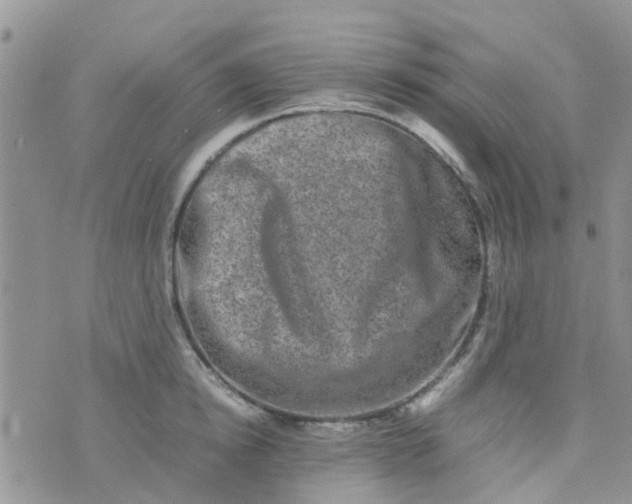 X0000074290854200609151915