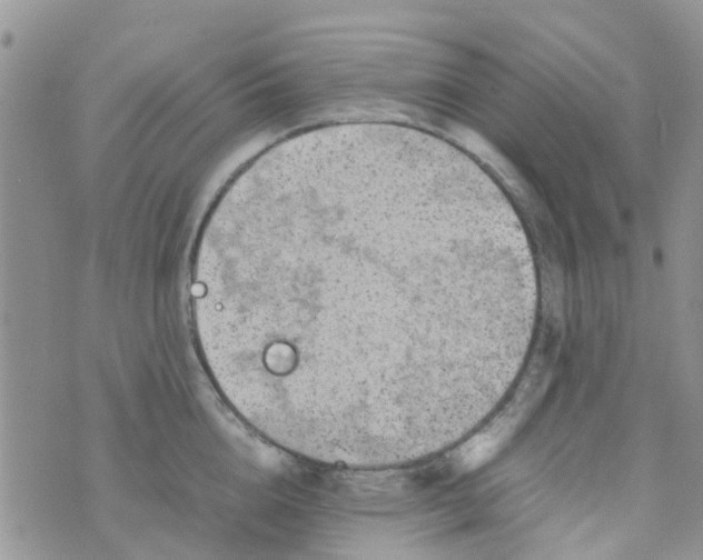 X0000074290856200609151915