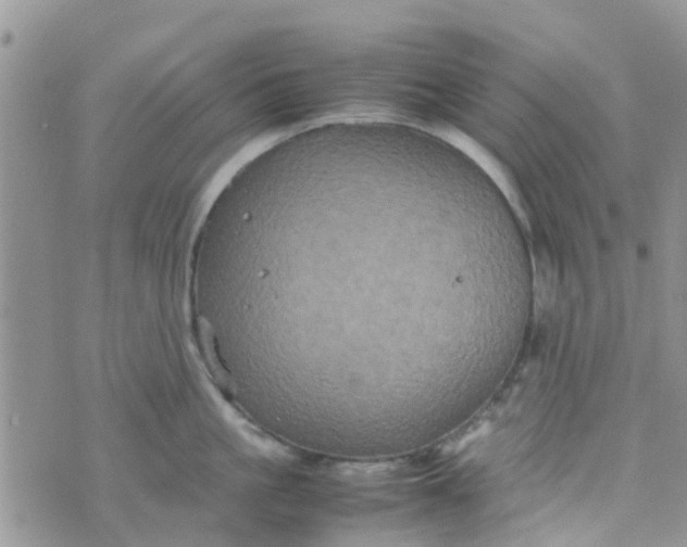 X0000074290861200609151915