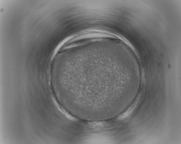 X0000074290862200609151915