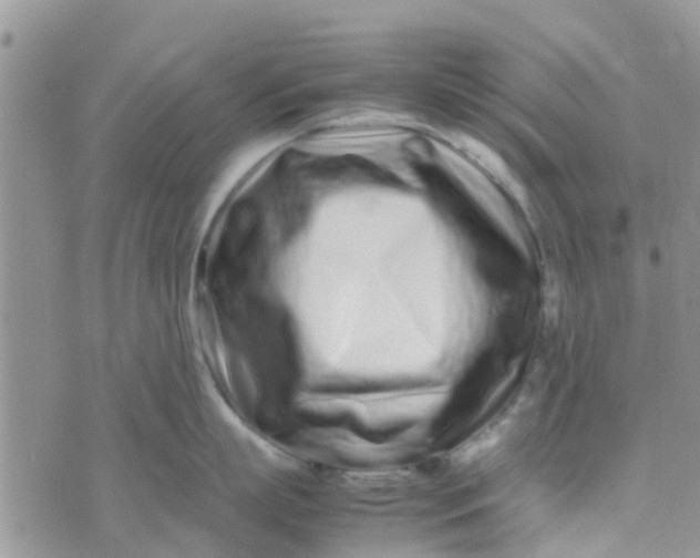 X0000074290863200609151915