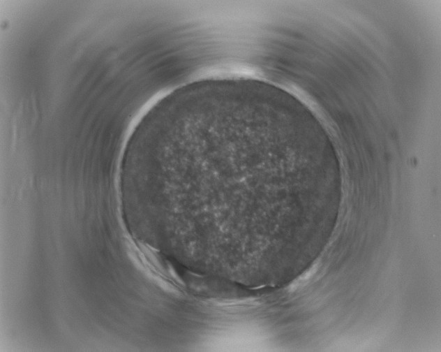 X0000074290864200609151915