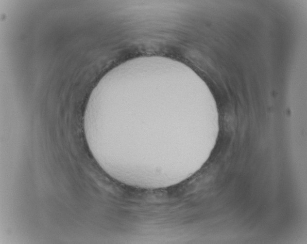 X0000074290865200609151914