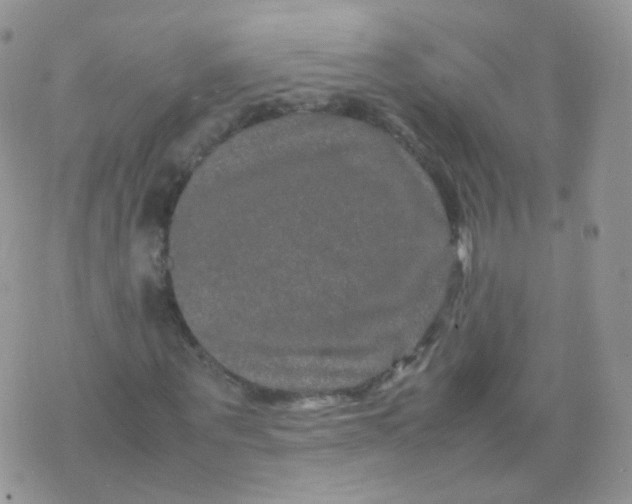 X0000074290867200609151914