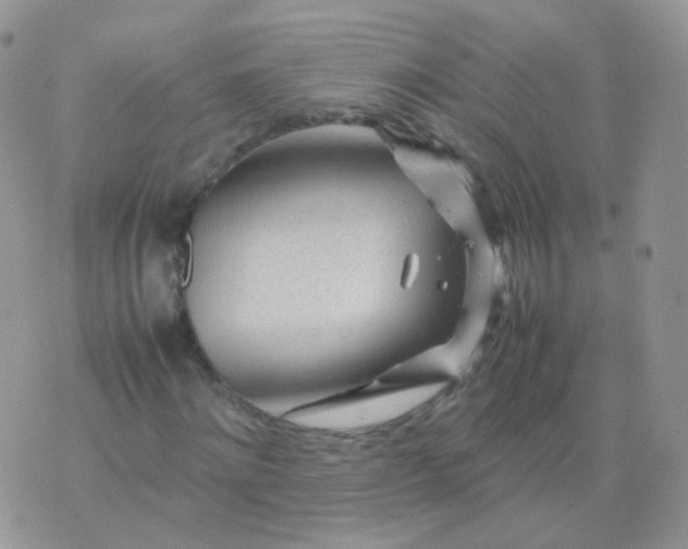 X0000074290868200609151914