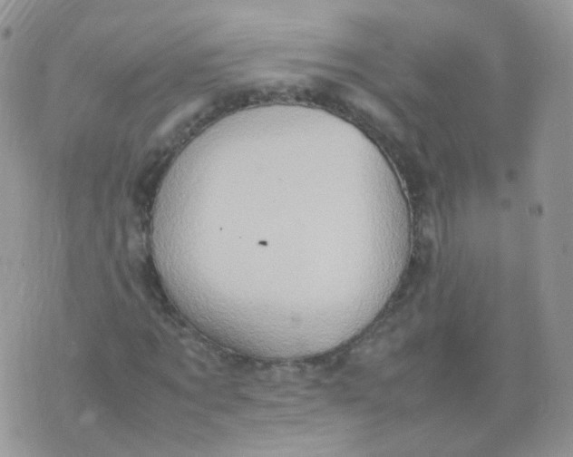 X0000074290869200609151914