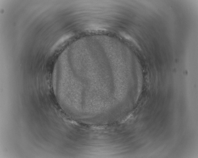 X0000074290870200609151914