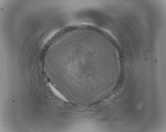 X0000074290871200609151914